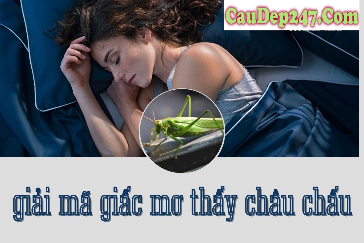 ý nghĩa giấc mơ thấy con châu chấu