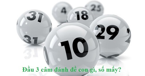 Đầu 3 câm hôm sau đánh con gì