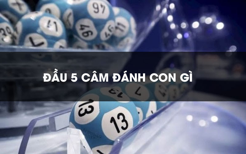 Đầu 5 câm đánh con gì