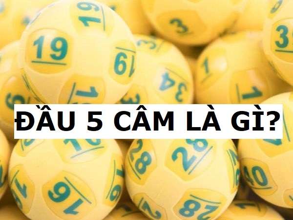 Đầu 5 câm là gì