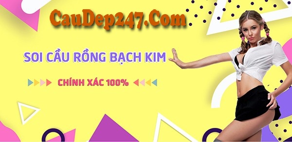 >Hạn chế khi sử dụng Soi Cầu Rồng Bạch Kim