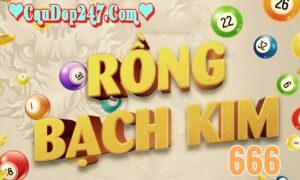 soi cầu 247-rồng bạch kim