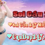 Soi cầu 247 ngày 7-6-2024