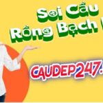 Soi cầu 247 rồng bạch kim 14/06/2024