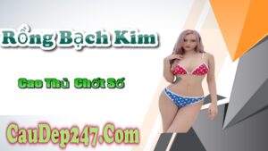 Soi cầu 247 rồng bạch kim 20/06/2024 - Soi cầu 88 hôm nay