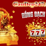 Rồng bạch kim 777 Soi Cầu xổ số miền bắc 247 chính xác