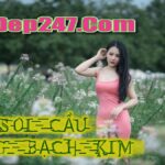 Soi cầu 247 ngày 03/11/2025 – Dự đoán XSMB ngày 03/11/2025