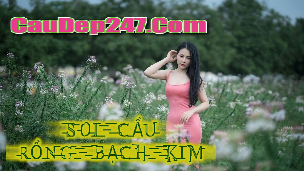 Soi cầu 247 ngày 03/11/2025