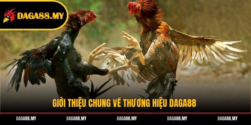 Giới thiệu chung về thương hiệu DAGA88