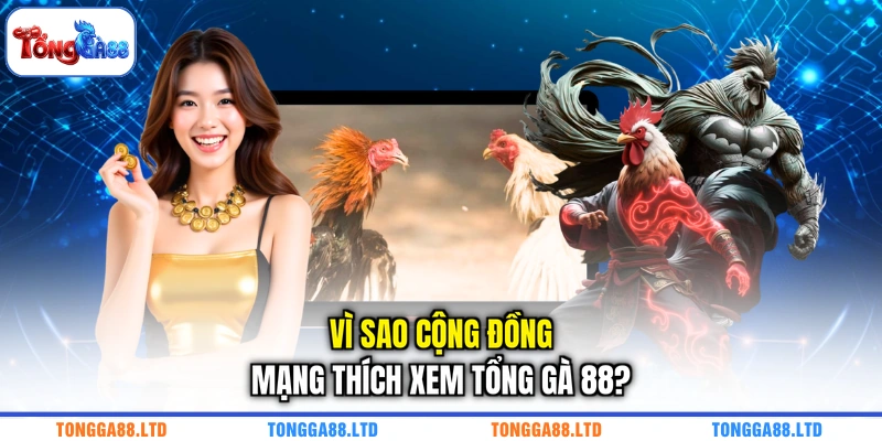 Vì sao cộng đồng mạng thích xem TỔNG GÀ 88?