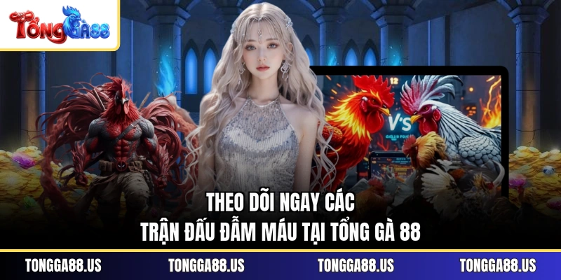 Theo dõi ngay các trận đấu đẫm máu tại TỔNG GÀ 88