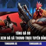 TỔNG GÀ 88 – Kênh Xem Đá Gà Thomo Trực Tuyến Đỉnh Cao