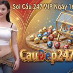 Soi Cầu 247 VIP Ngày 16/09/2026 – Dự đoán xổ số 247 Miễn Phí