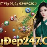 Soi Cầu 247 Vip Ngày 08/09/2026 – Rồng Bạch Kim Chính Xác 100 Miễn Phí