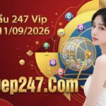 Soi Cầu 247 Vip Ngày 11/09/2026 – Dự Đoán Rồng Bạch Kim