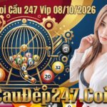 Chốt Số Soi Cầu 247 Vip 08/10/2026 – Website Soi Cầu 24h